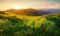 The Impact of Climate Change on Financial Services
