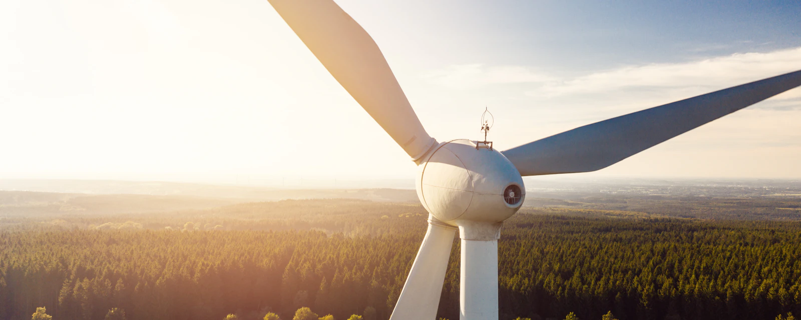 Wind,Power,Renewable,Energy,Plant