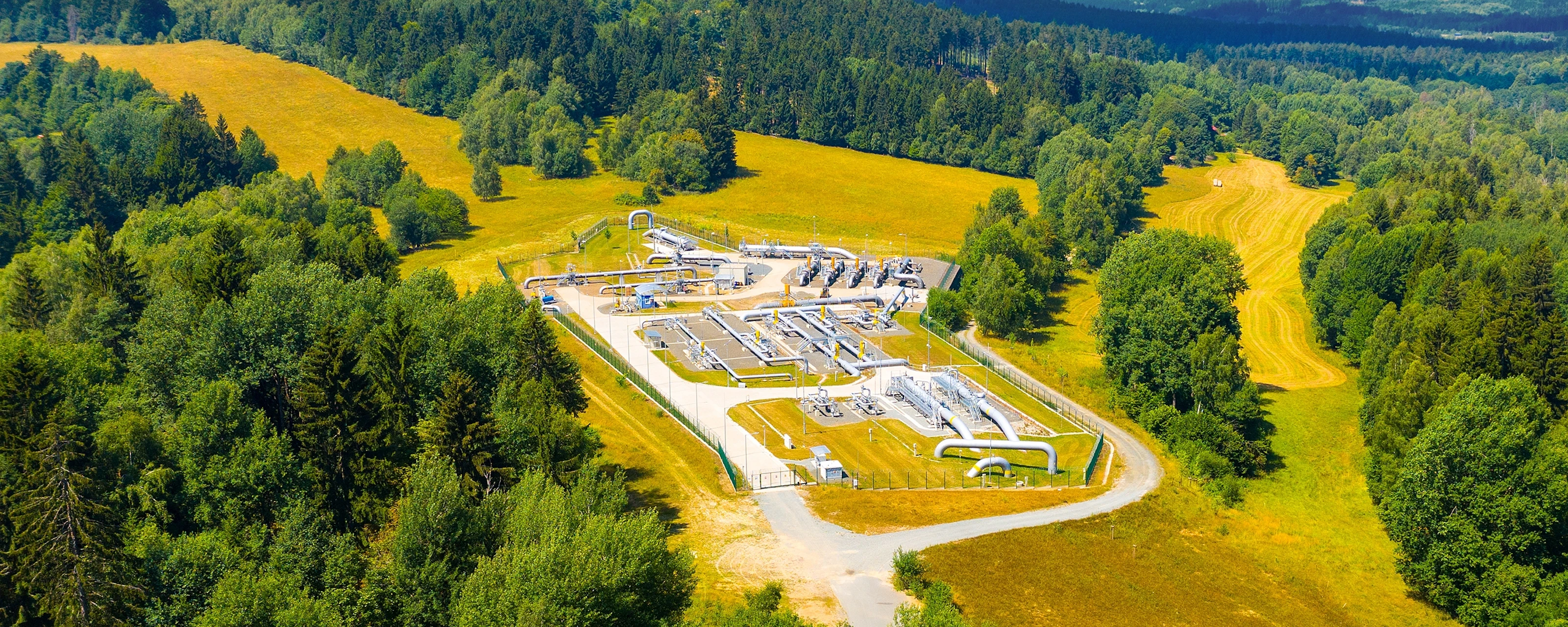 Germany: Ready for Rationing? | Teneo