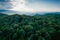 COP28: What Business Leaders Need to Know and What Chief Sustainability Officers are Thinking