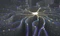 Vision 2025: In Depth<br><br> Everything is About to Change with AI in 2025